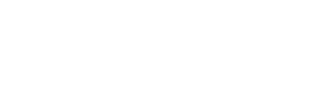 SEO Jungle
